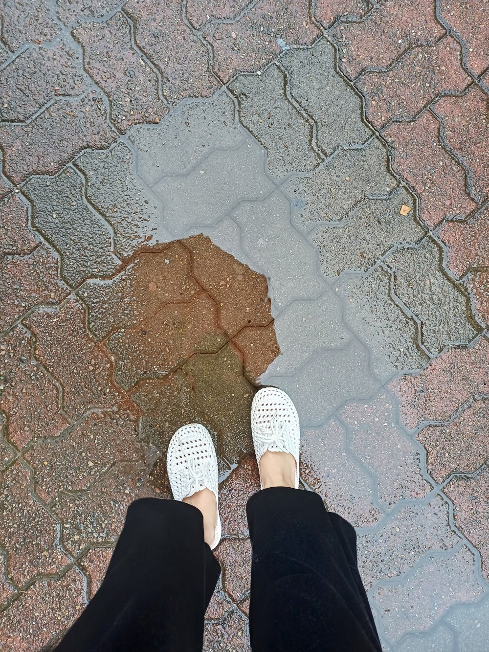 여성 여름 젤리슈즈 블로퍼 데일리 슬리퍼 구매 후기 이미지